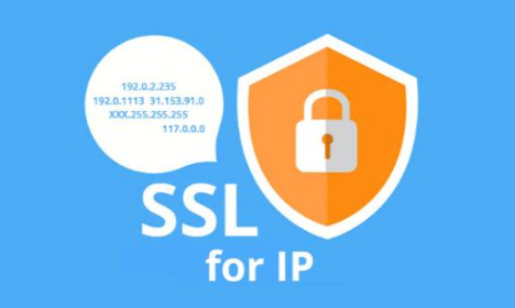 IP SSL证书
