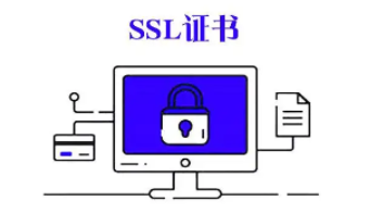 从哪里查看SSL证书的中间证书