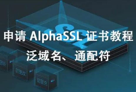 AlphaSSL 泛域名证书申请引导