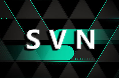 SVN如何配置SSL证书